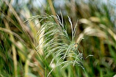 《重装前哨2》早期概念PV公布 游戏开发进度将定期更新