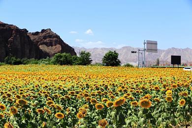 高能电玩节：《明末：渊虚之羽》18分钟实机演示